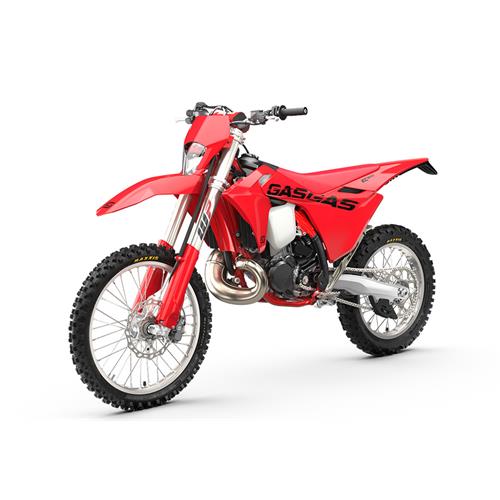 MOTOCICLETA GAS GAS EC 300 2025